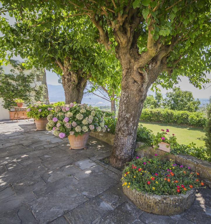 Campopineta Apartment Incisa in Val d'Arno Екстериор снимка